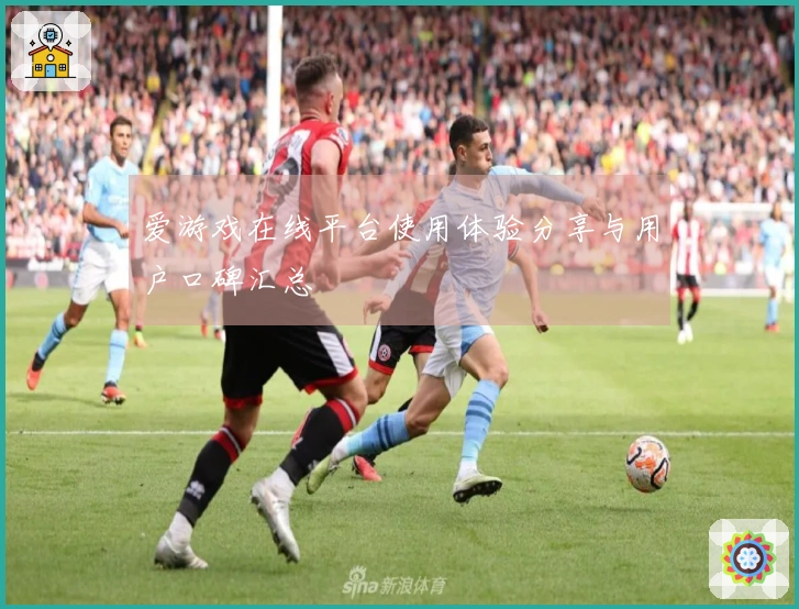 爱游戏在线平台使用体验分享与用户口碑汇总
