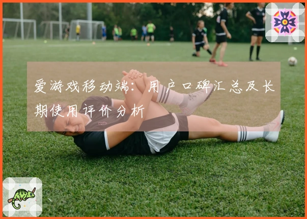 爱游戏移动端：用户口碑汇总及长期使用评价分析